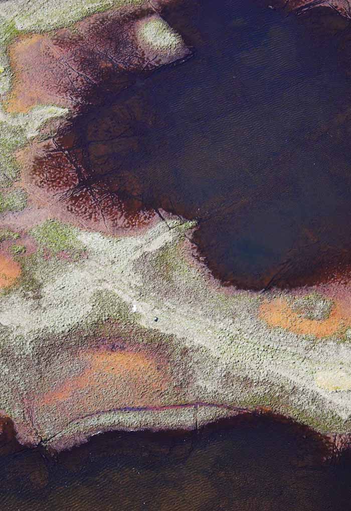 Cambodia Joint donor responses to corruption