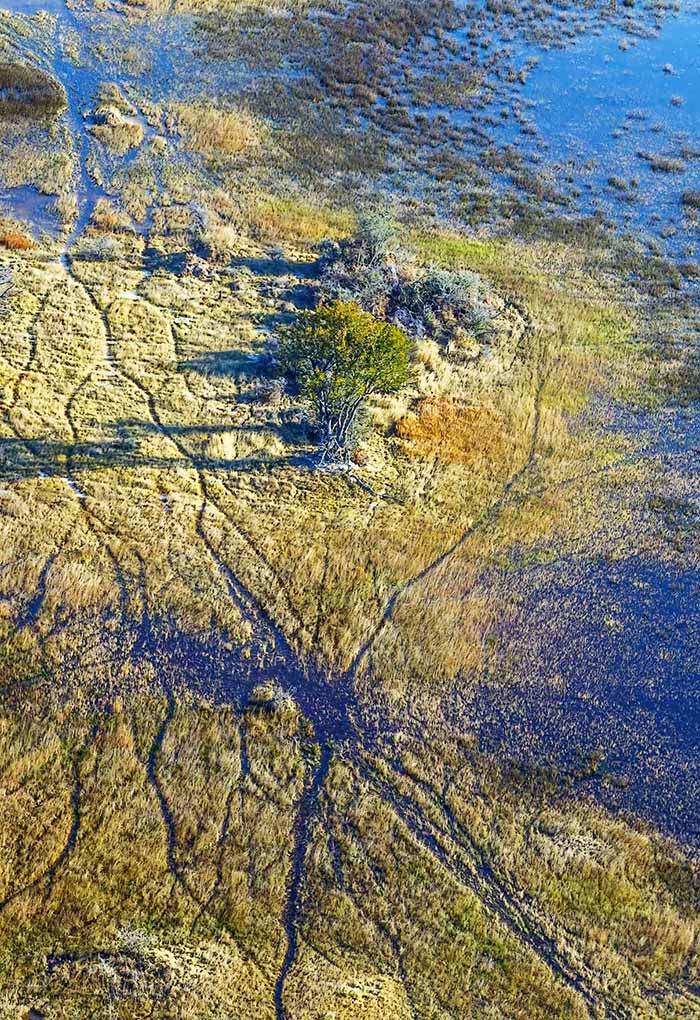 Evaluation of the European Centre for Development Policy Management strategy